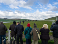 AK310322-20 - Alan King Stable Visit